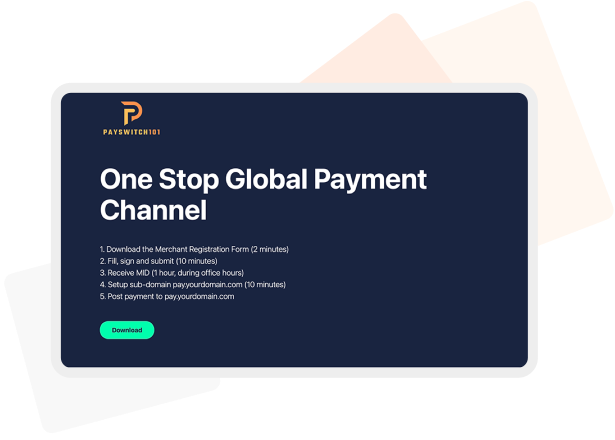 websiteScreenshot_paySwitch